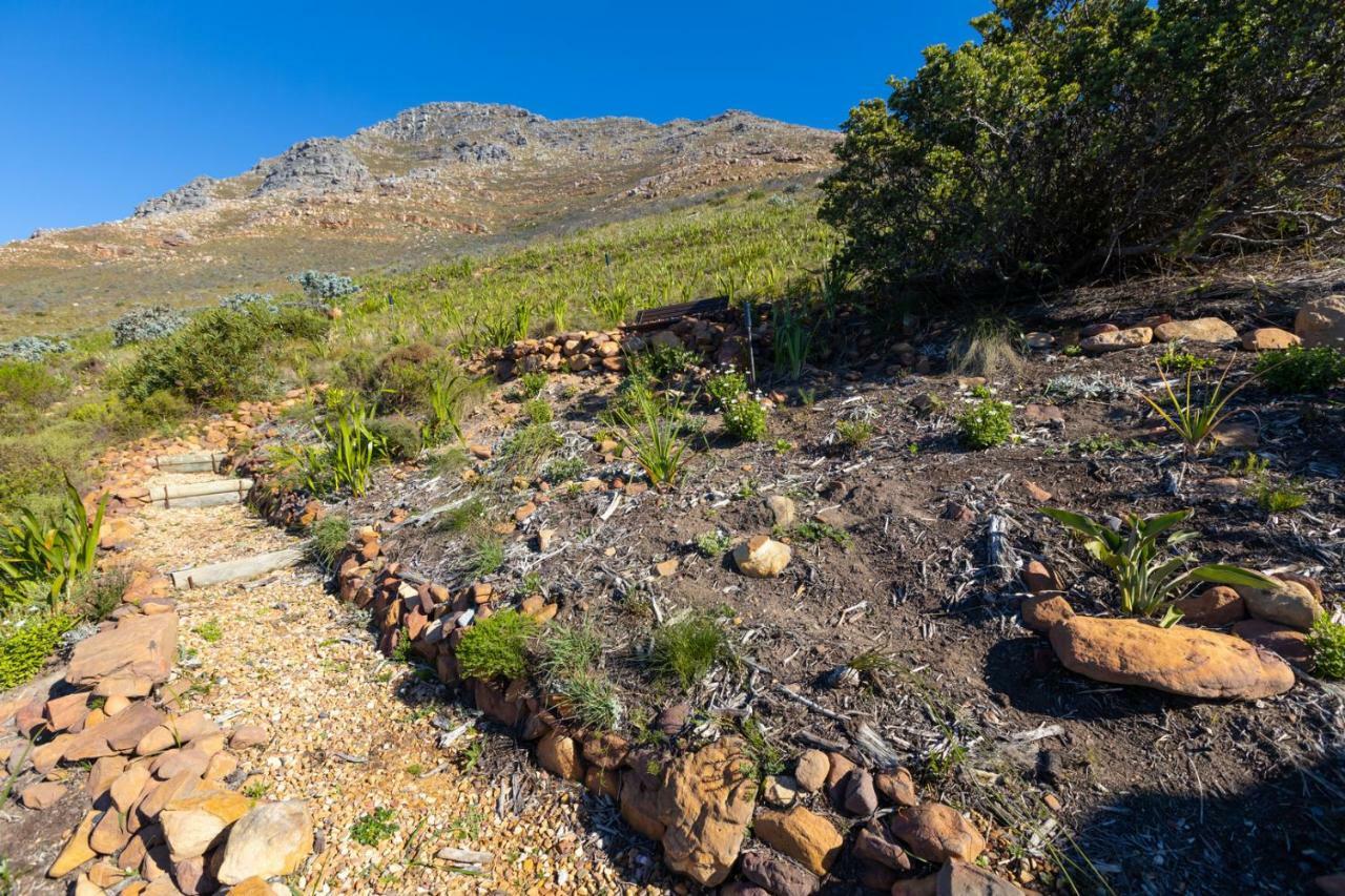 Port Of Call Simonʼs Town Екстериор снимка